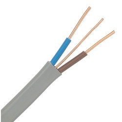 Twin and Earth Cable 1m 1.5mm