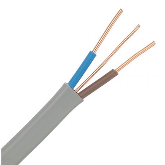Twin and Earth Cable 1m 2.5mm