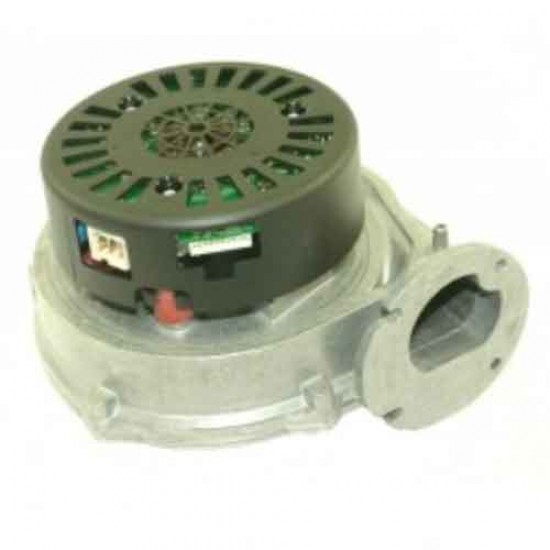 Baxi Fan