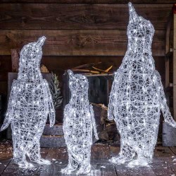 Noma Acrylic Penguin Stargazing 1m
