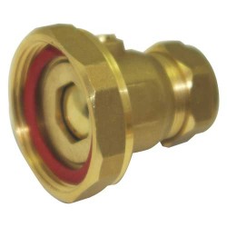 Pump Valve Ball Type 22mm