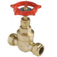 Gate Valve 22mm