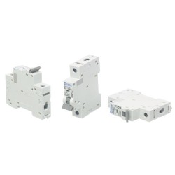 Europa MCB 10A 10KA Type C 1Ph