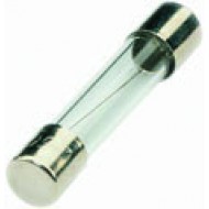 Anti Surge Fuse 1Amp 31mm