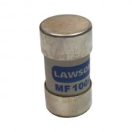 Service Fuse 100Amp 30mm