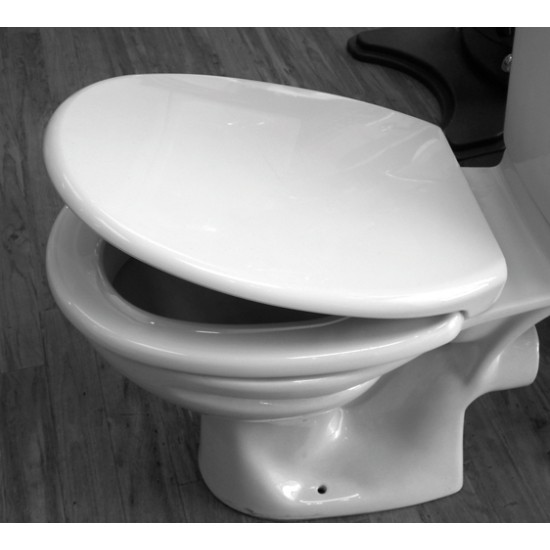 Toilet Seat White Soft Close